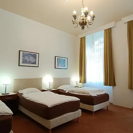 Gato Hostal Bozicany
